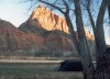 Thumbs/tn_079.Zion Canjon.jpg